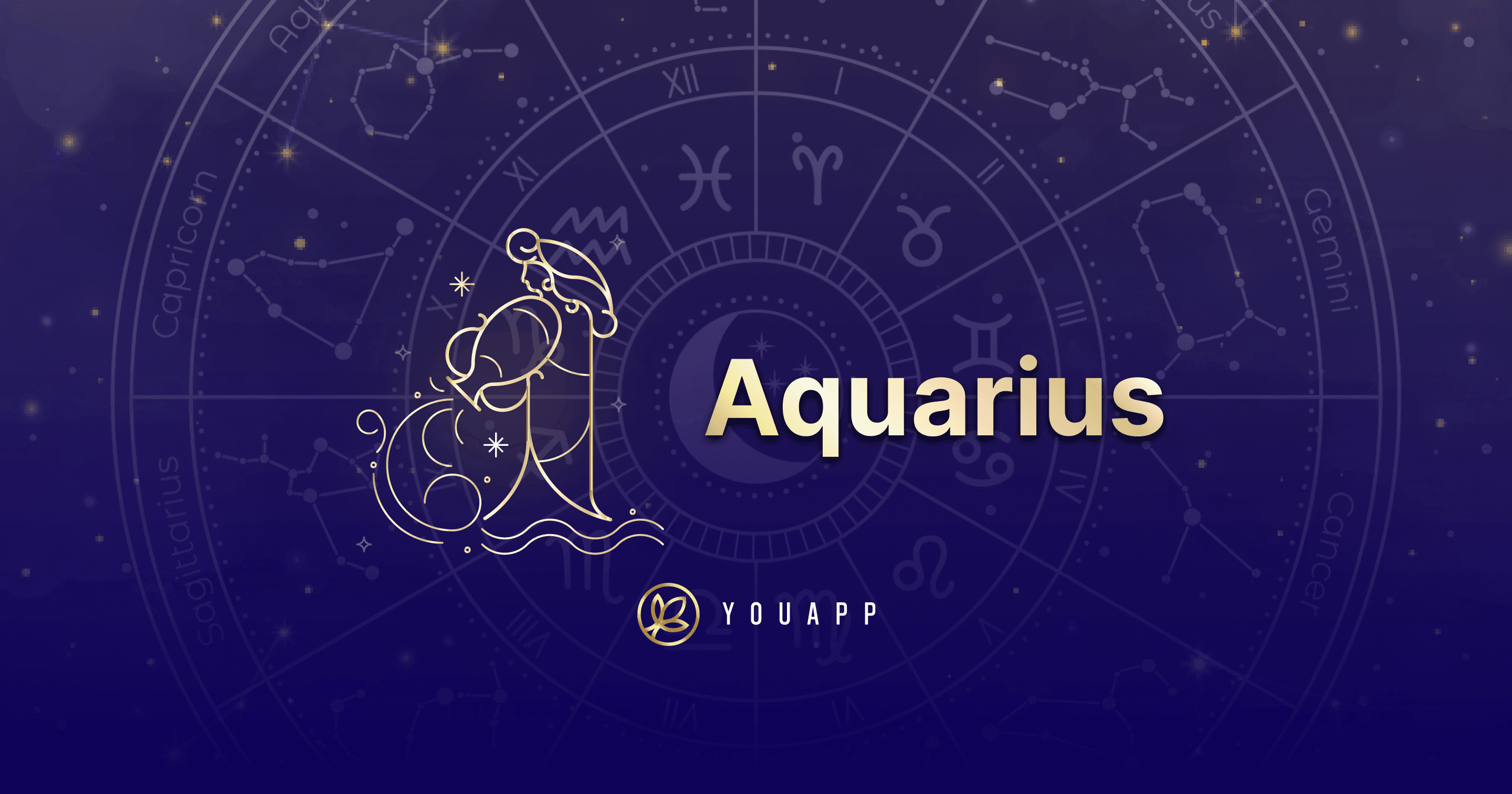 meta-image-aquarius
