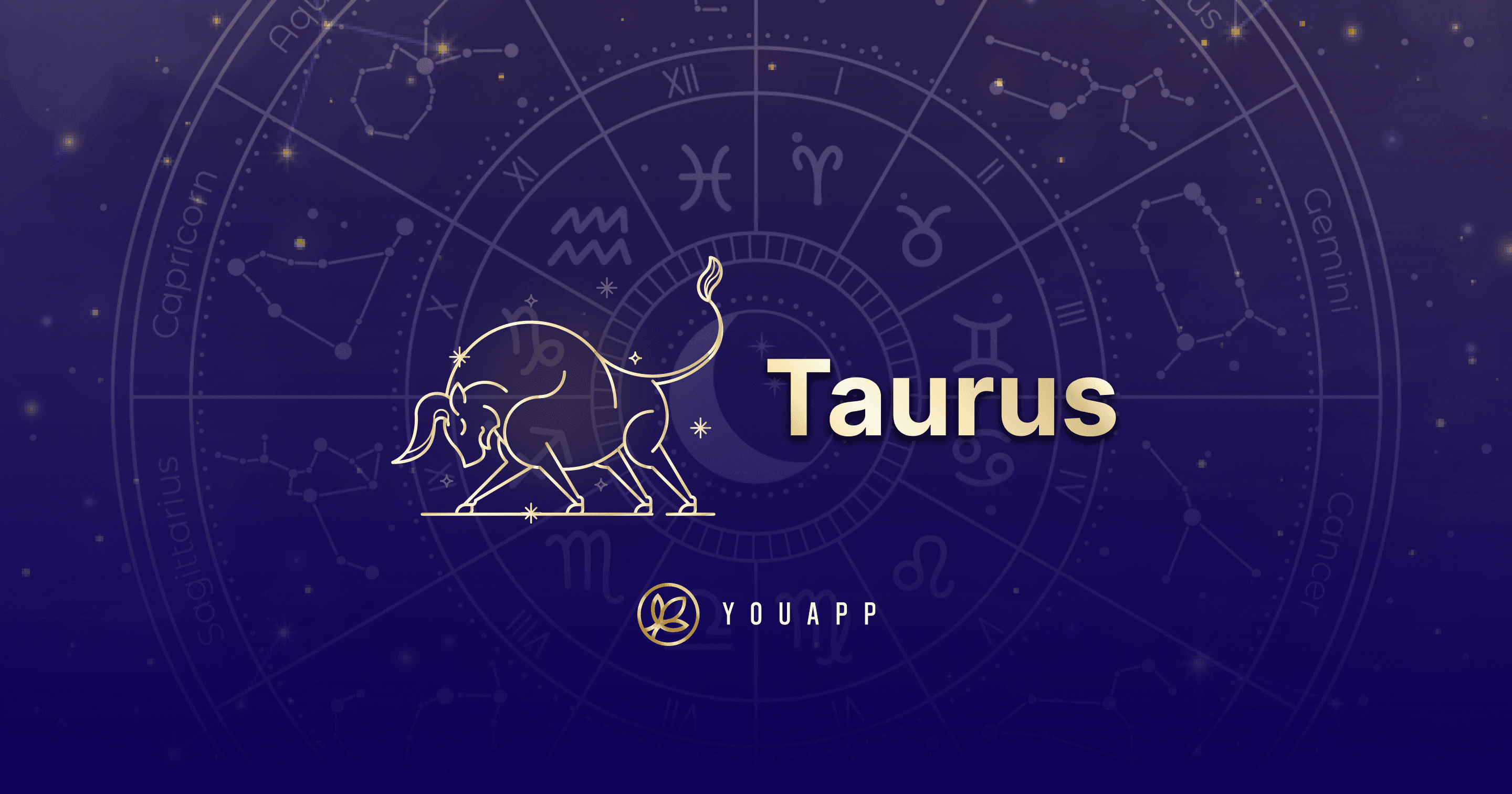 meta-image-taurus