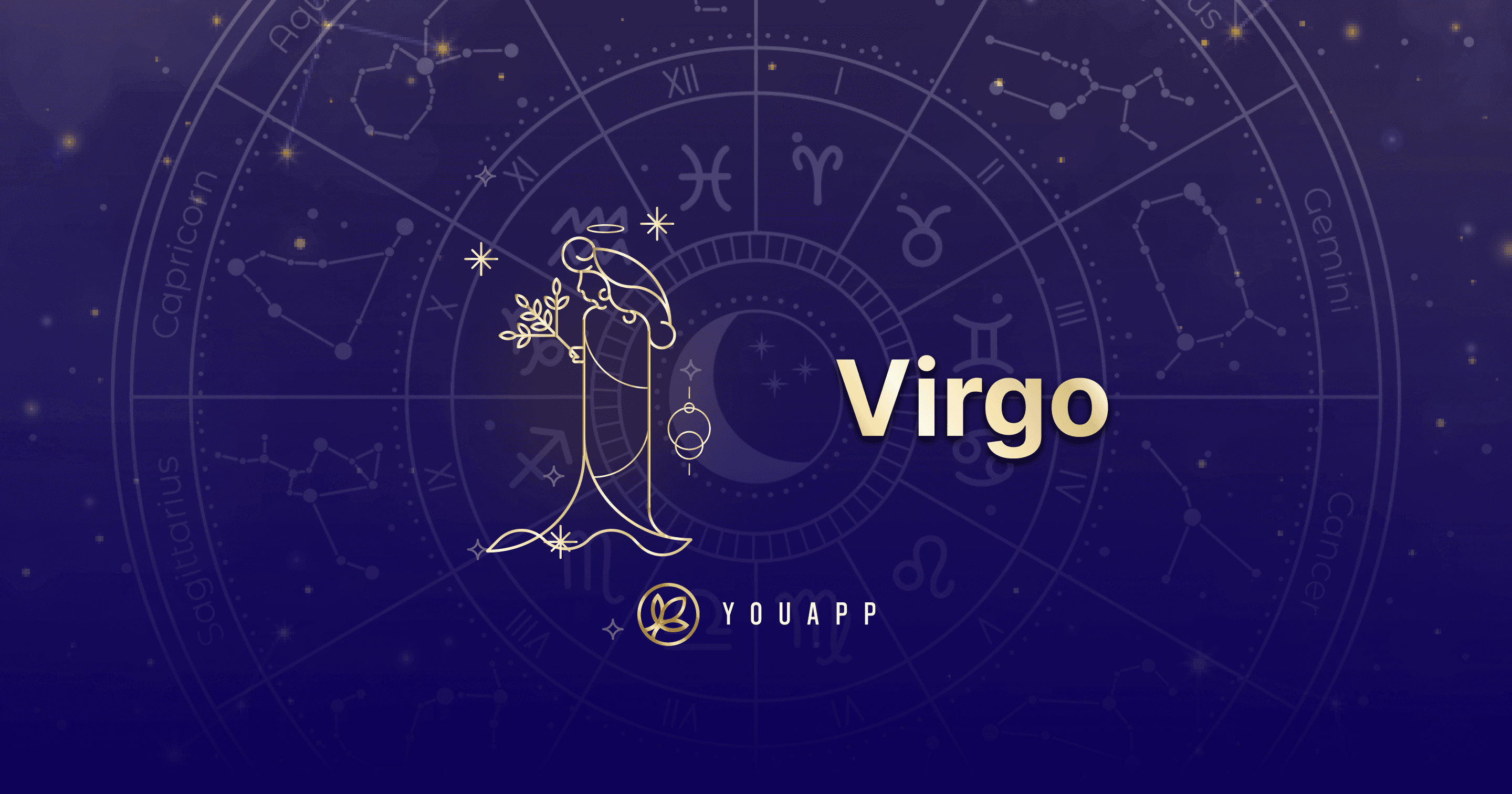 meta-image-virgo