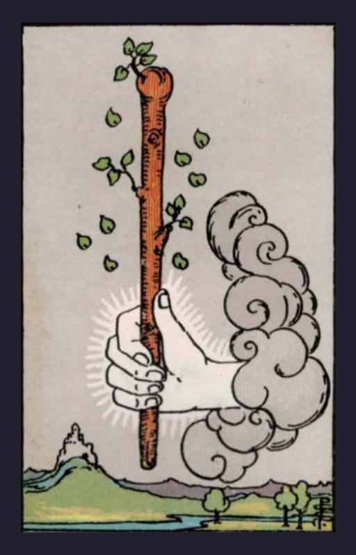 ACE OF WANDS